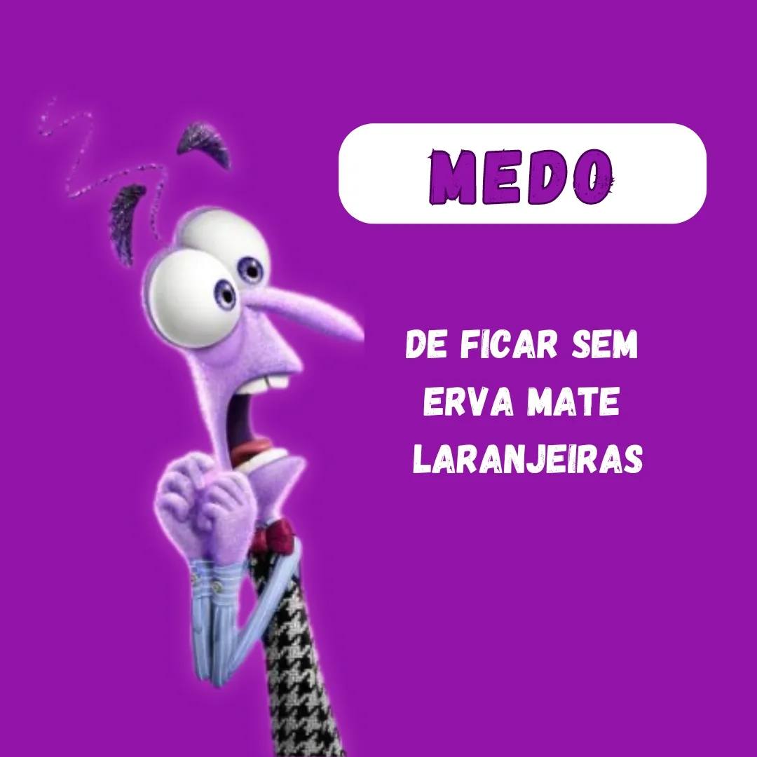 larenjeiras-erva-mate-tea