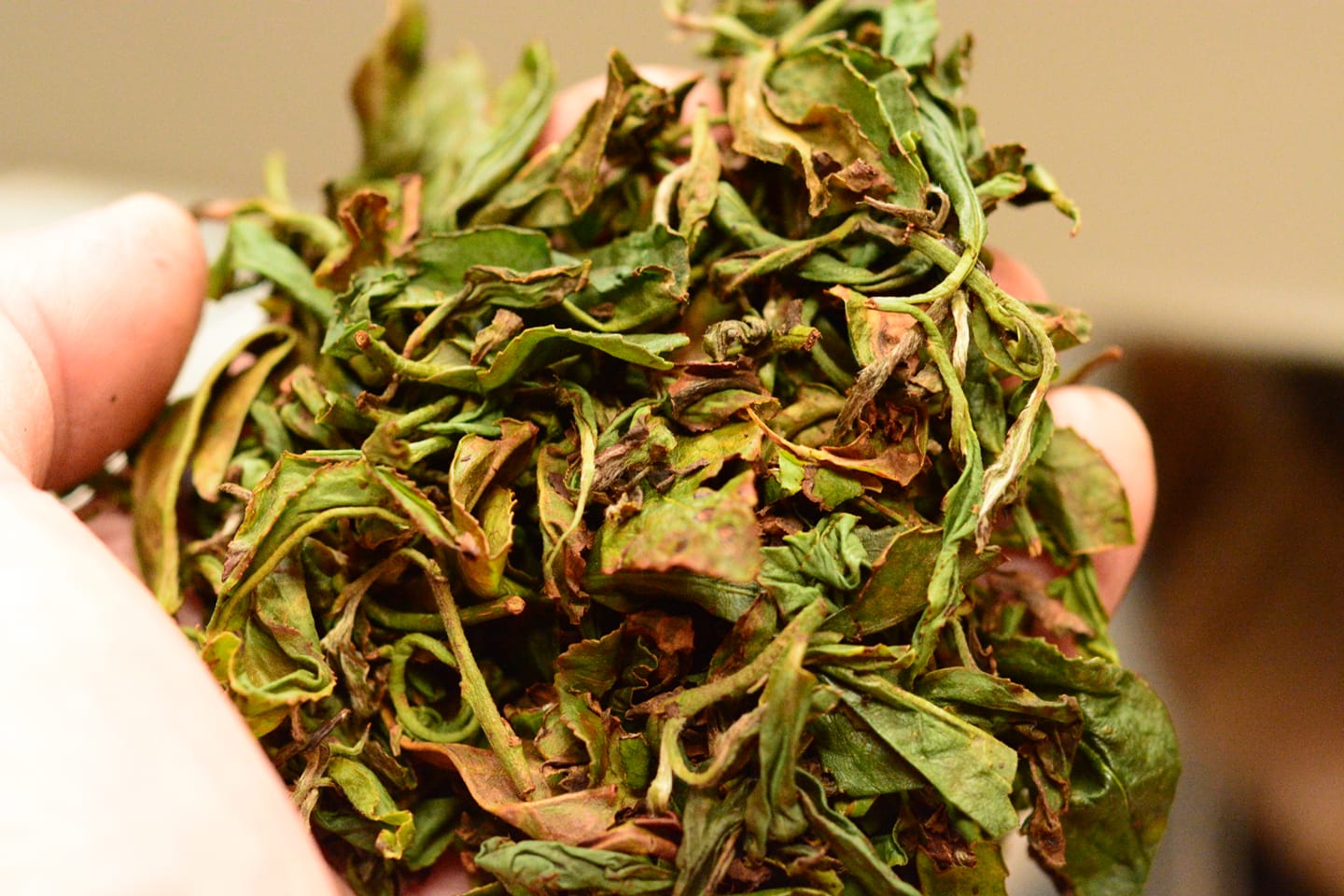 nakamura-nagydijas-koshun-fekete-tea