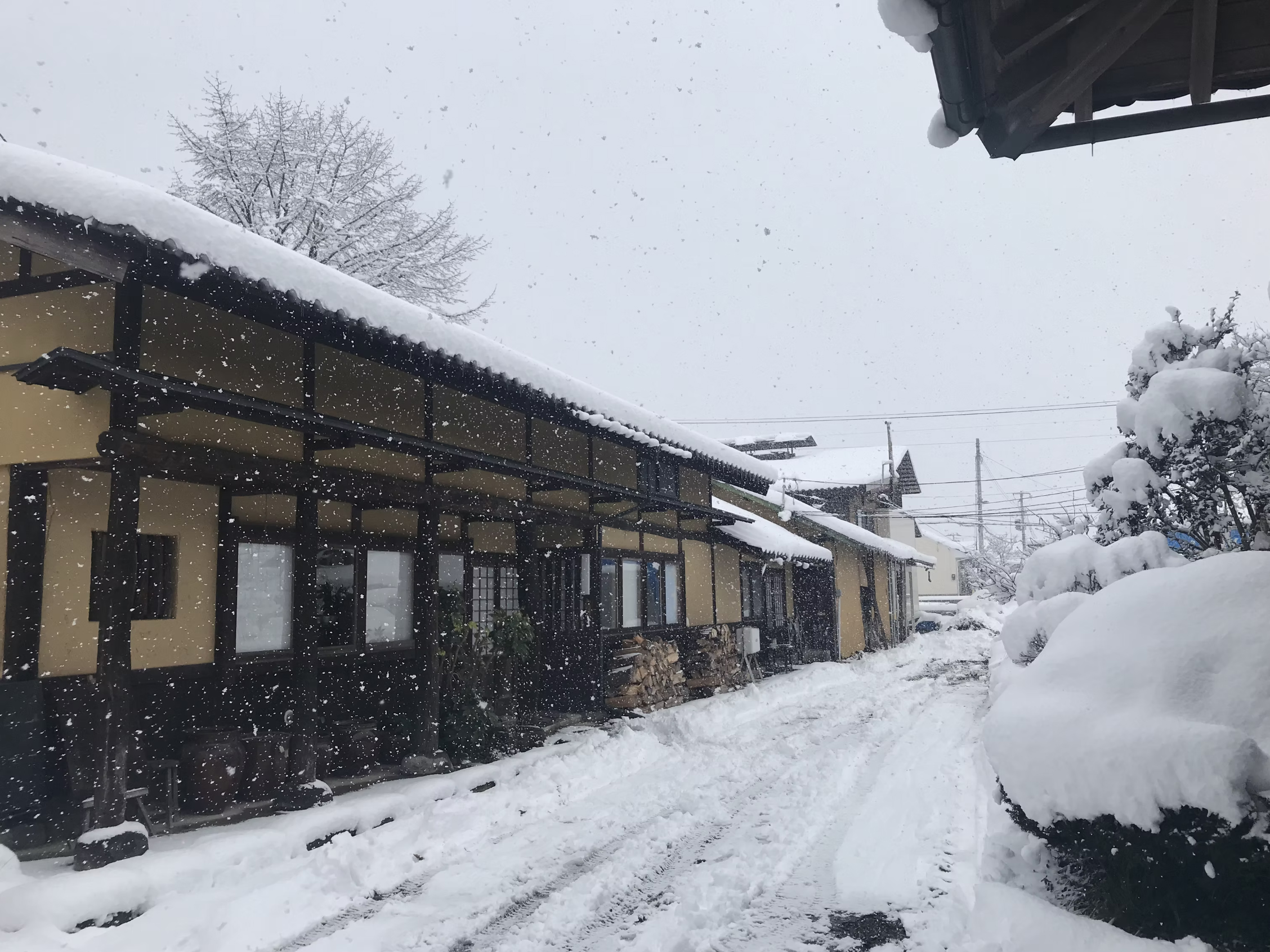 Ryuhei Niwa fekete hó hirashimizu chawan
