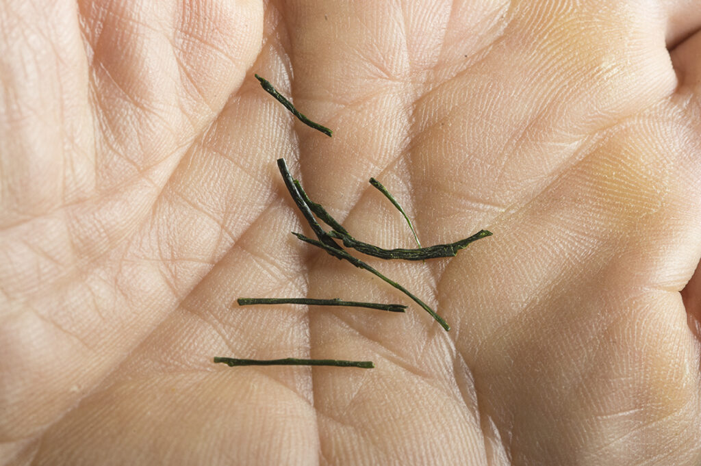 Asamiya 77. Kansai díjnyertes sencha