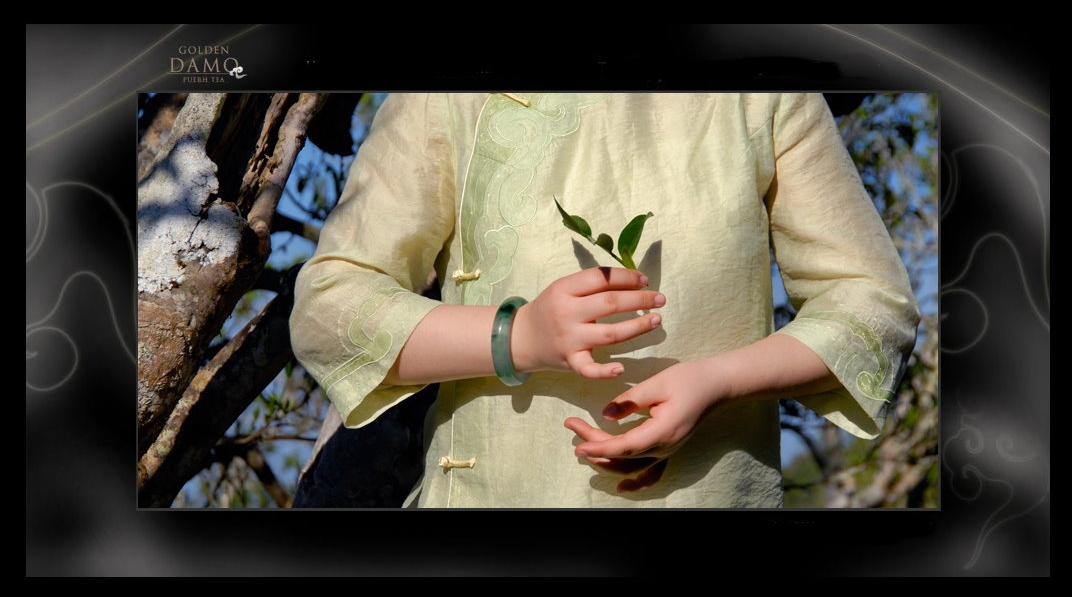 Jindamo Arany Dharma Puerh Tea esszencia