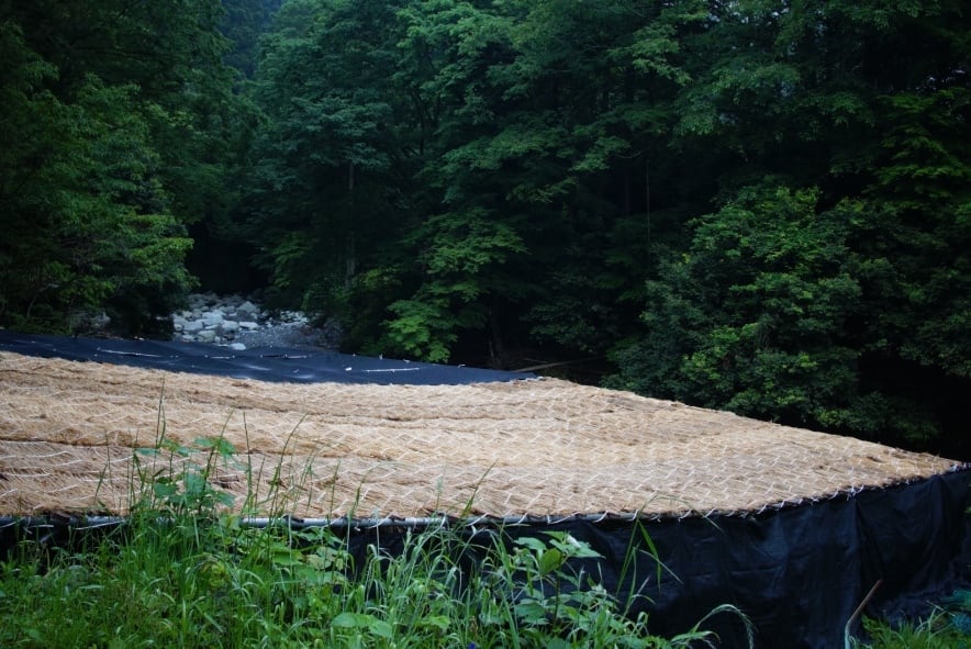 Kézzel szedett Mandokoro gyokuro