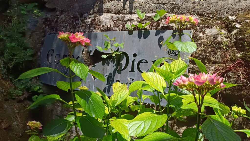 Teazine tartalomjegyzék