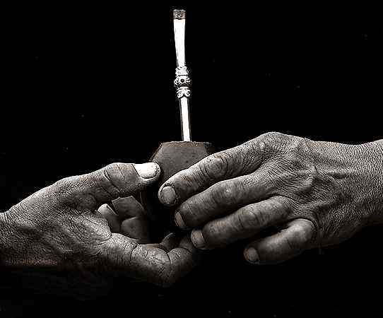 yerba mate aldo sessa